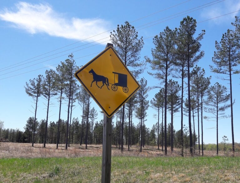 This Virginia County Might Be First To Test a High-Tech Amish Buggy Warning System