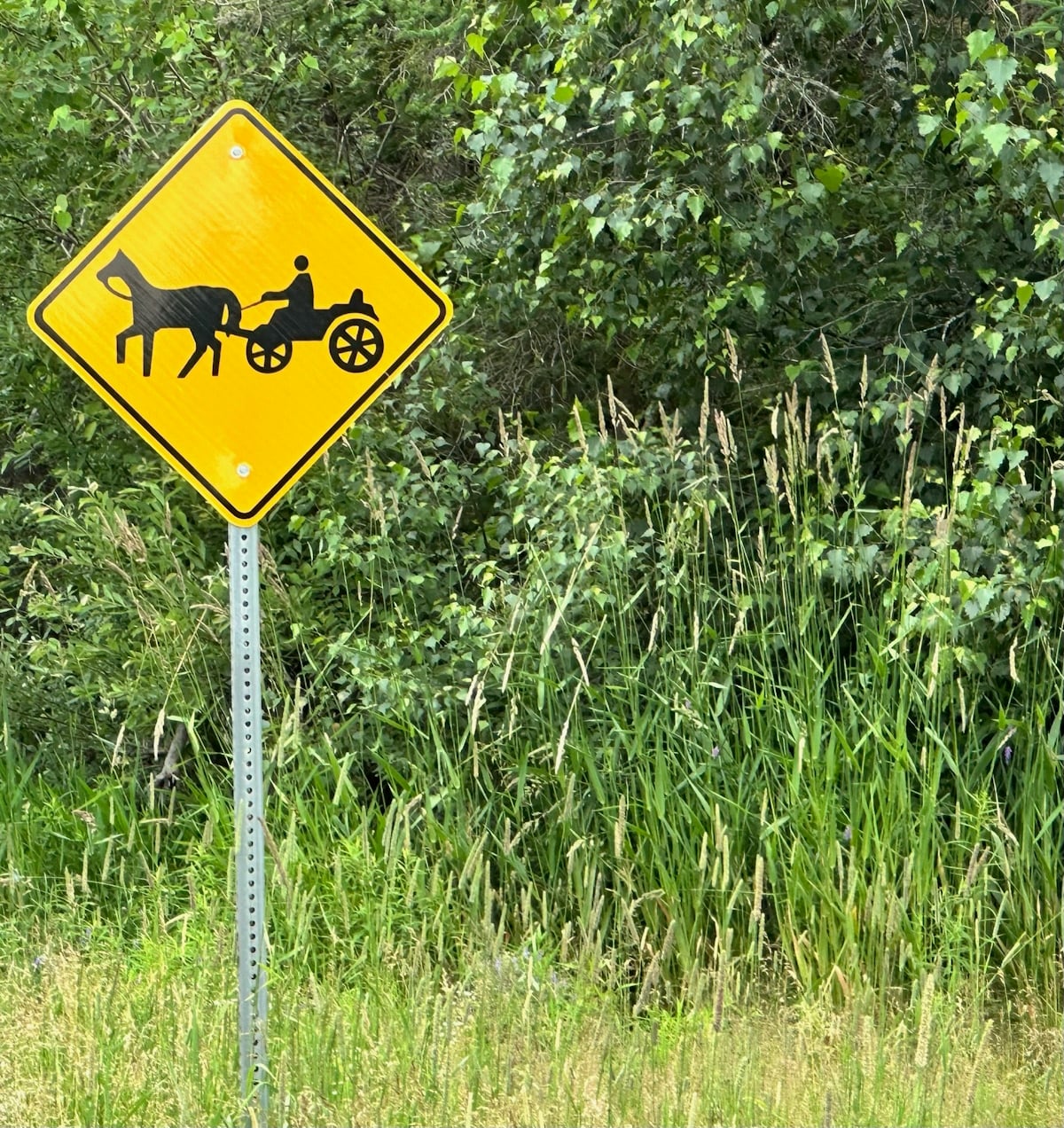 Yellow diamond road sign showing a horse pulling an open cart, on a rural road in the Amish settlement on Prince Edward Island, Canada