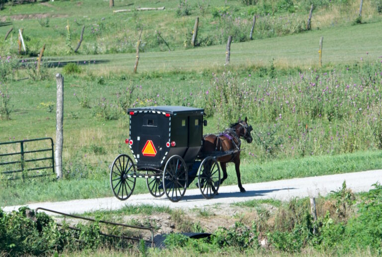 The 10 States With The Most Amish Communities