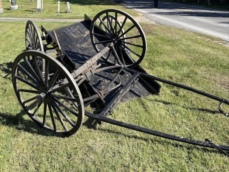 Two Amish Children, Ages 7 & 13, Killed After Van Strikes Two Buggies (New York)