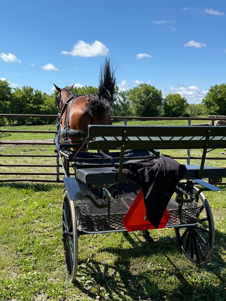 Back of an open Amish cart with a coat and slow-moving-vehicle triangle on the seat