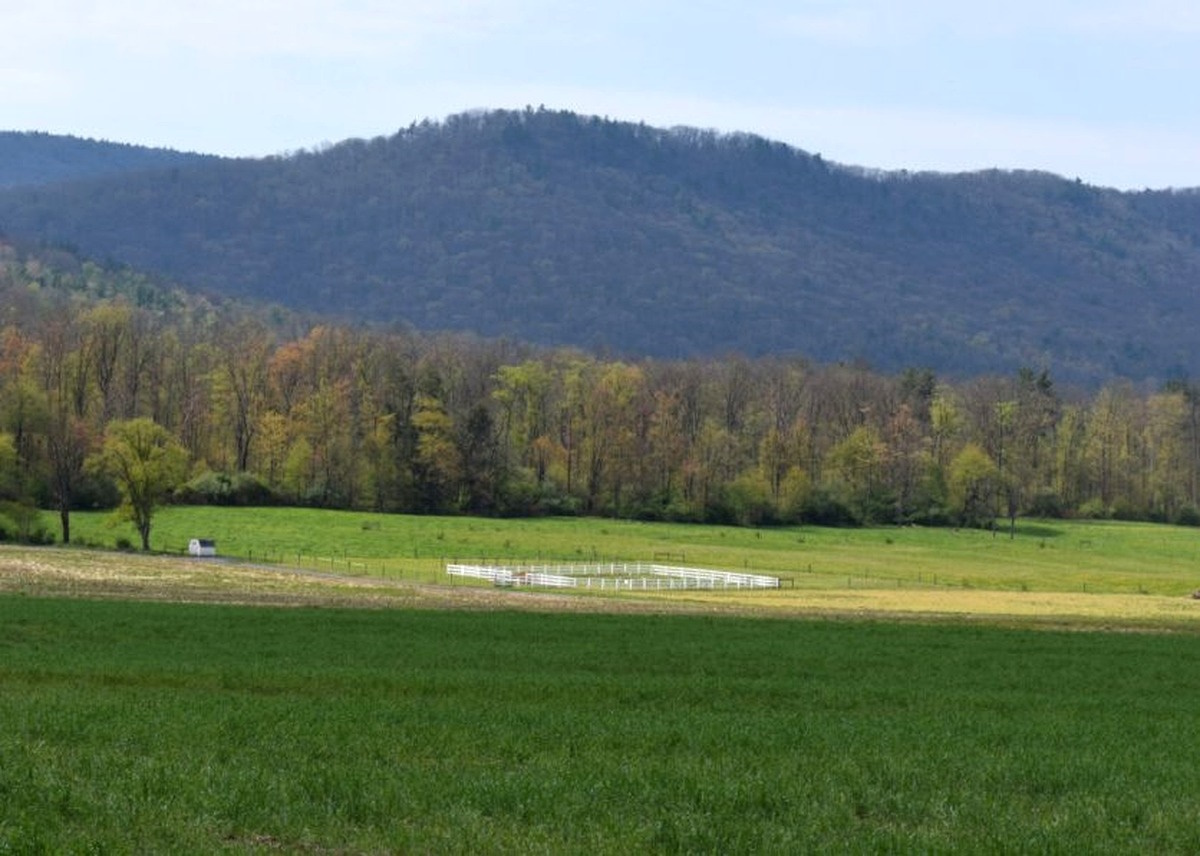 Open farmland with green fields, a white fence, and a line of trees at the foot of forested hills in the distance.
