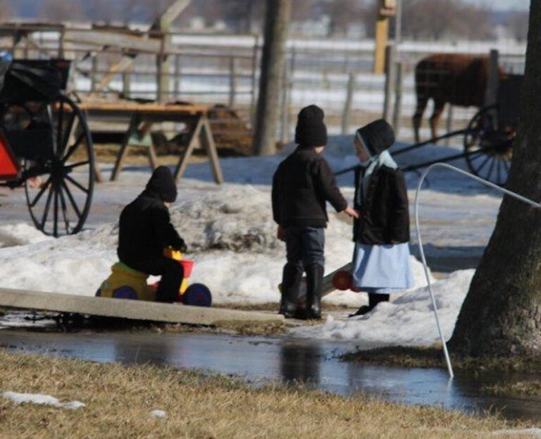 Man Charged With Felony DUI While Driving Amish Children