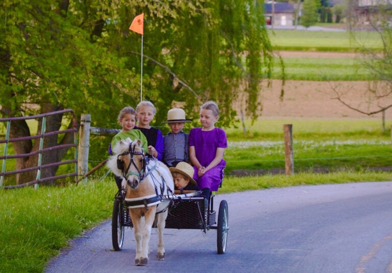 The 4 Northeastern States With An Amish Population
