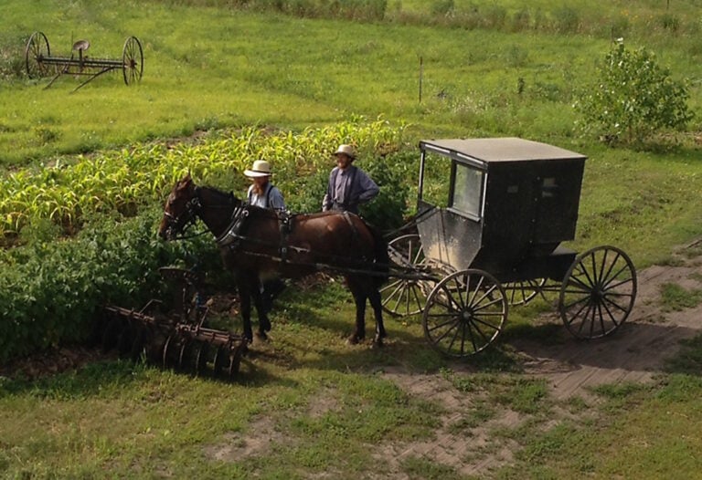 Study: Only 154 People Have Joined the Amish in Nearly a Century