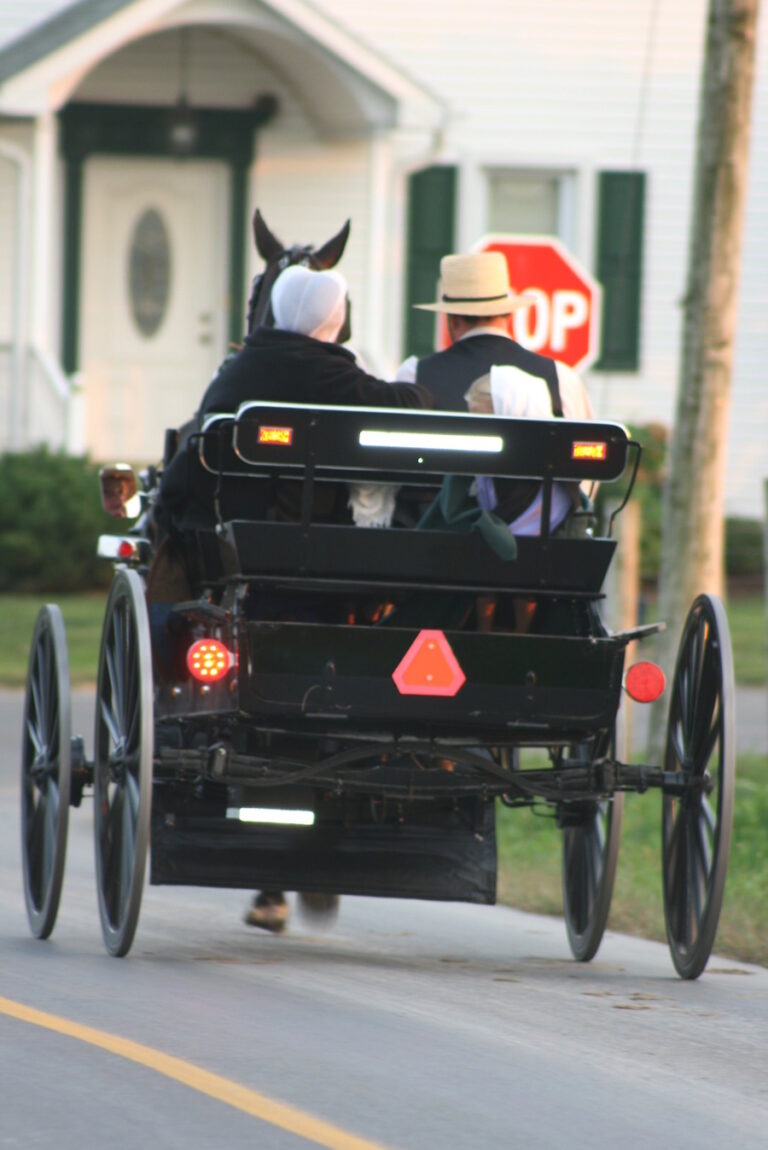 Yes – Amish Buggies DO Have To Stop At Stop Signs…