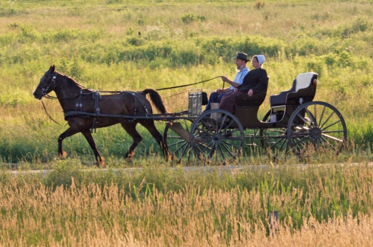 The Amish Population 2025: All 32 States Ranked Largest to Smallest