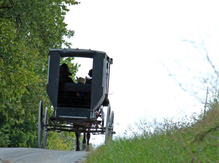 How One Amish Community Took Root in A Quiet Corner of Missouri