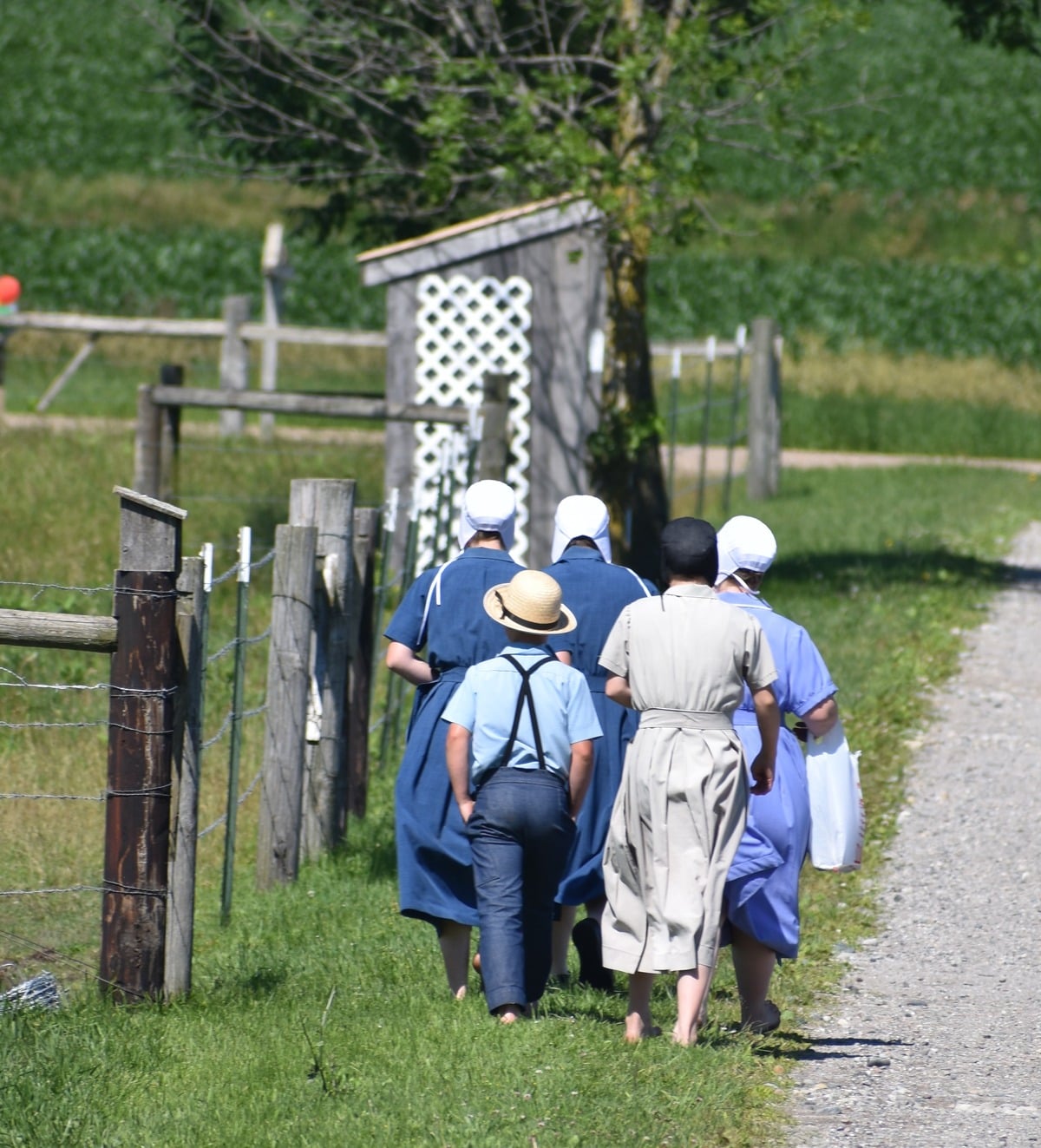 Amish family walking barefoot up a lane past an outhouse in Cass City, Michigan