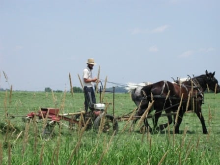 amish farmer holmes county