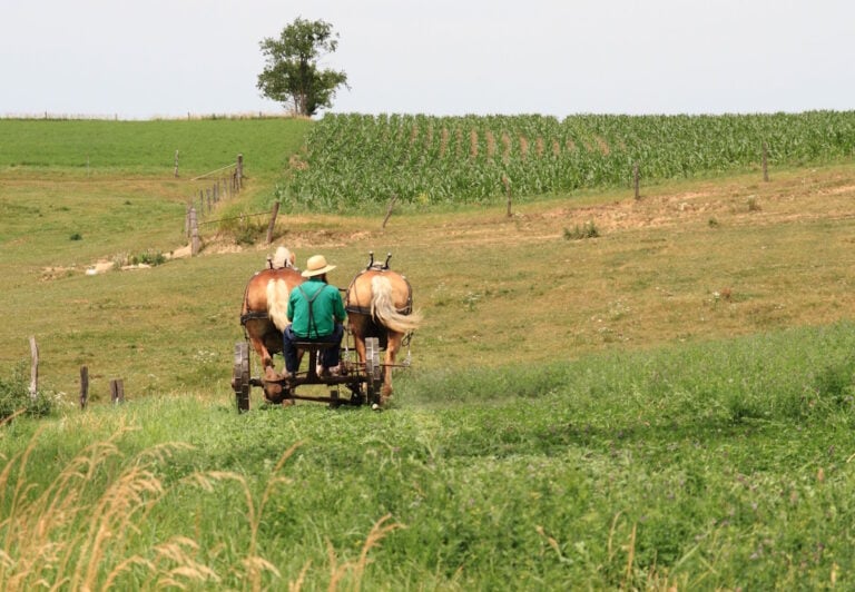 Wisconsin Is America’s #4 Amish State — Here Are Its 10 Largest Communities