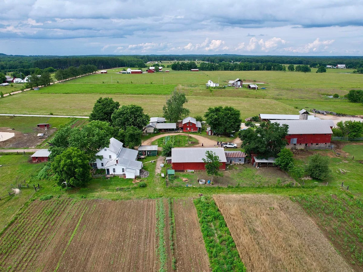 Aerial view of an Amish farmstead with red barns, white farmhouse, and field plots in Randolph, Mississippi
