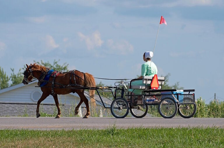 13-Year-Old Amish Girl Killed in Wisconsin Buggy Crash — Despite Lights, Reflective Vest, and Slow-Moving Vehicle Sign