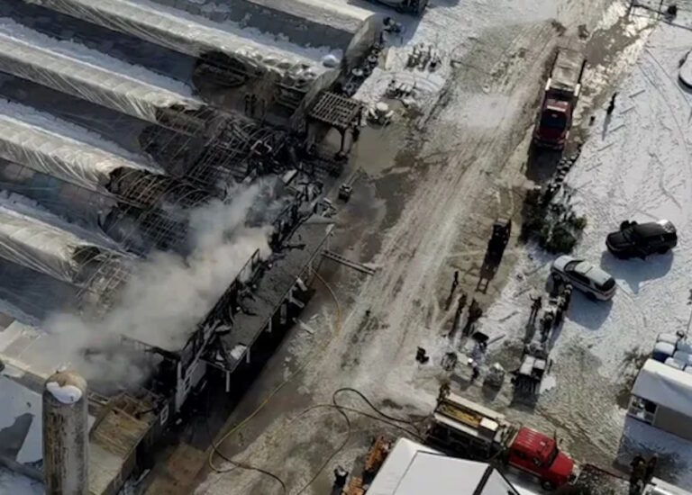 Blaze Damages Popular Amish Greenhouse (Indiana)