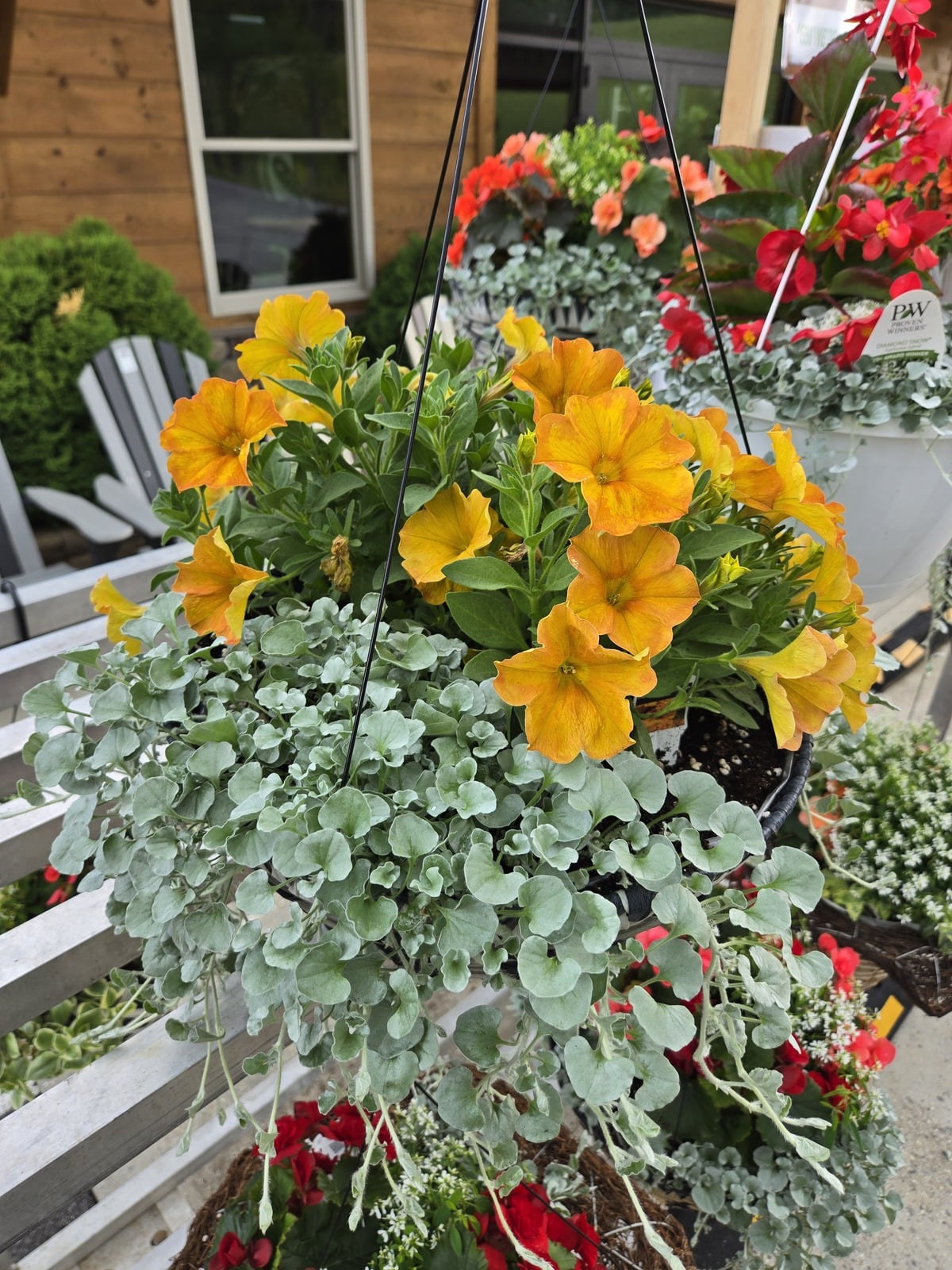 Hanging flower basket greenhouse Walker Valley Market Pearisburg Virginia