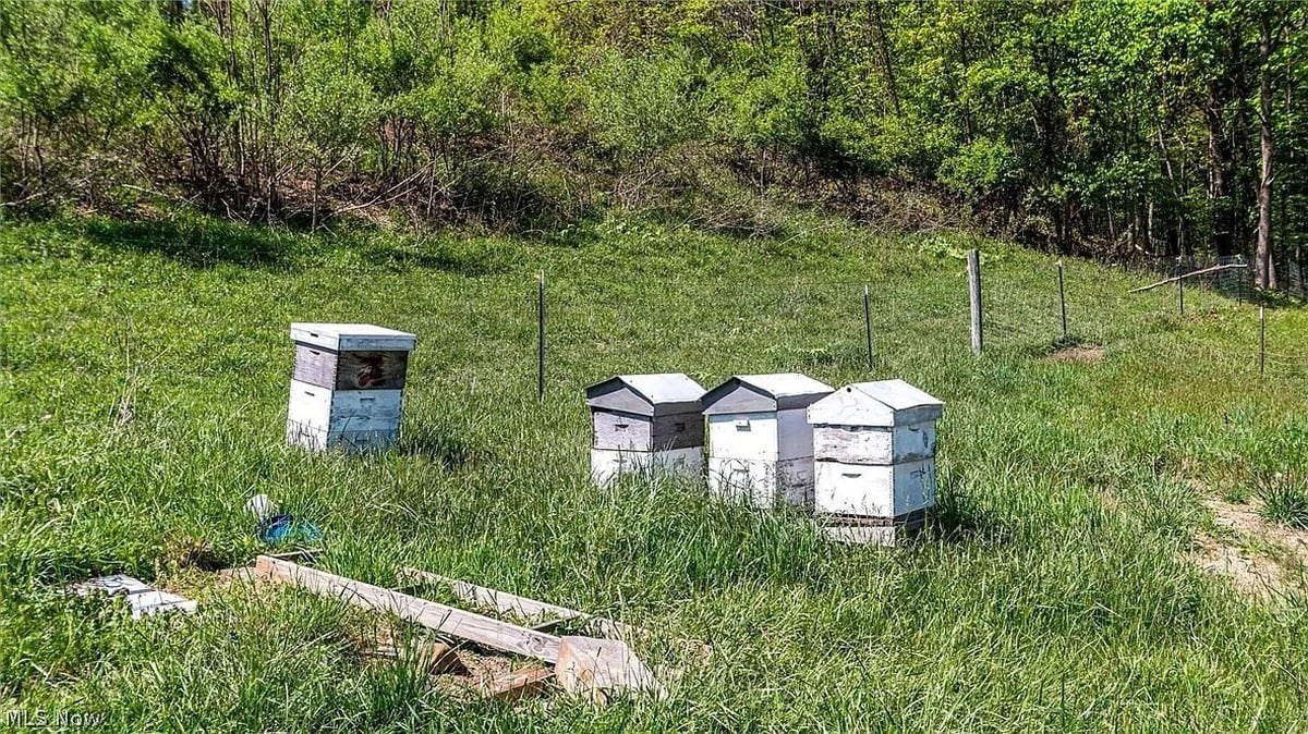 Four Langstroth beehive boxes on hillside at Amish homestead Cumberland Ohio