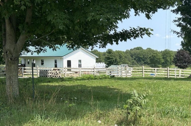Amish Boy, Age 8, Killed In Farm Equipment Accident (Northwest Pennsylvania)