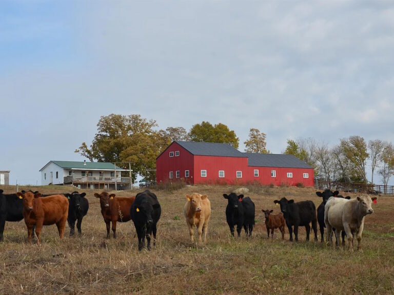 Inside An Amish Home On The “Wild Side” (27 Photos)