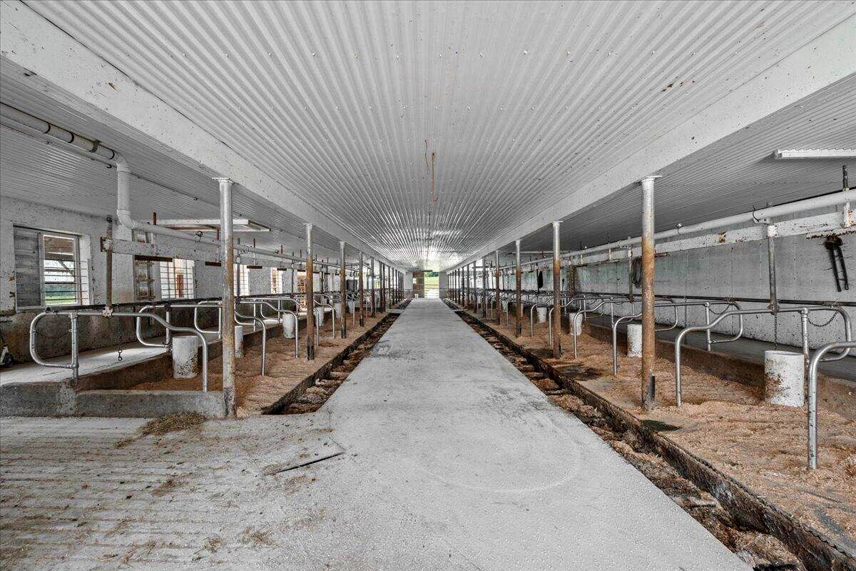Long interior view of dairy barn stanchion row at Amish farm in New Holstein, Wisconsin