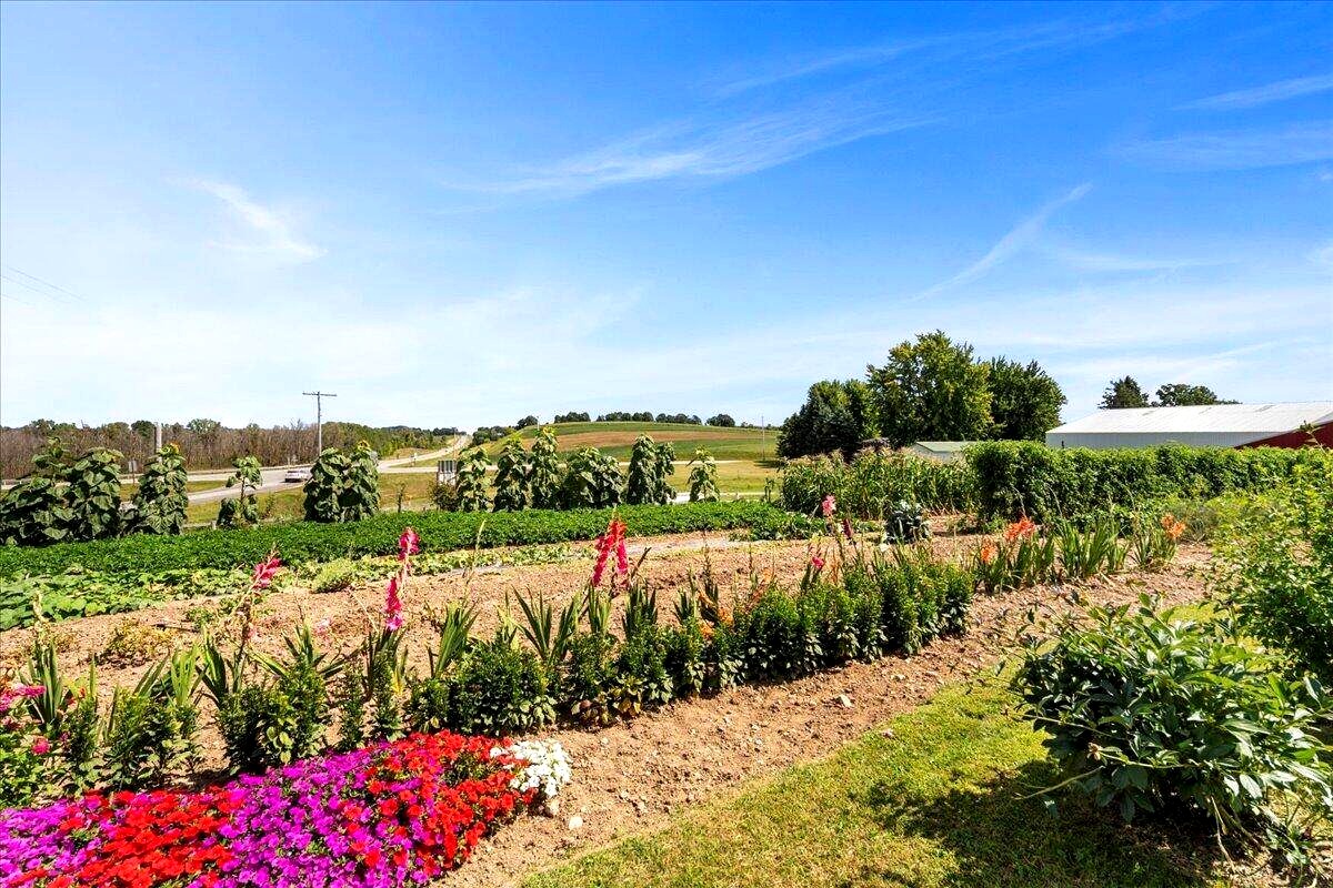 Large garden with sunflowers, flowers, and vegetable rows at Amish farm in New Holstein, Wisconsin