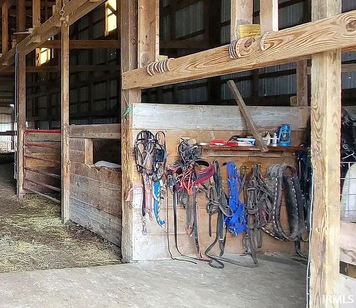Horse harness, bridles, and tack hanging on barn wall at Amish farm in Vevay, Indiana