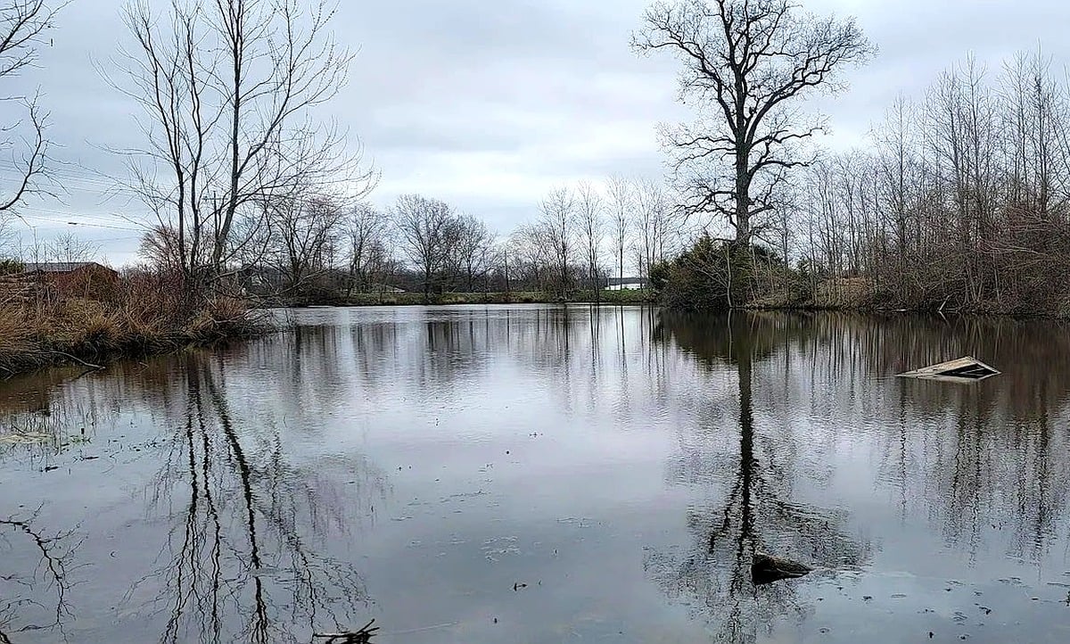 Pond with bare trees and partial dock at Amish farm in Vevay, Indiana