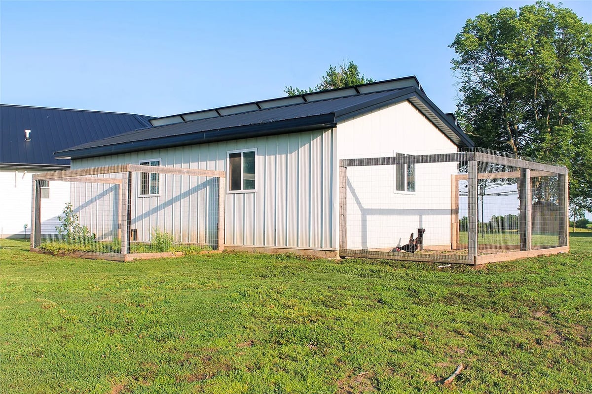 Insulated chicken coop with two runs at the Winterset Amish homestead White metal Amish chicken coop with two wire-fenced outdoor runs