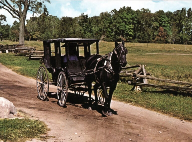 Amish Teen Killed In Rock Attack: Police Seek Help In 1969 Cold Case