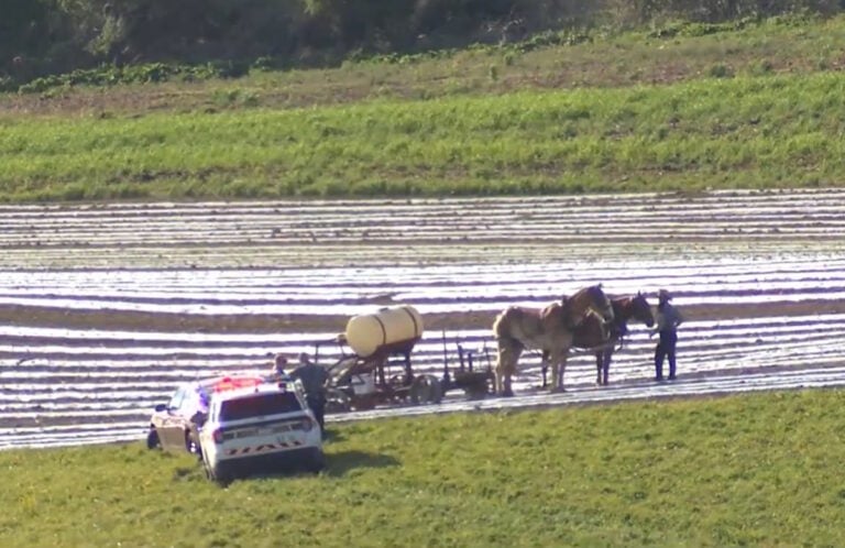 Three-Year-Old Amish Boy Airlifted After Being Run Over By Planter