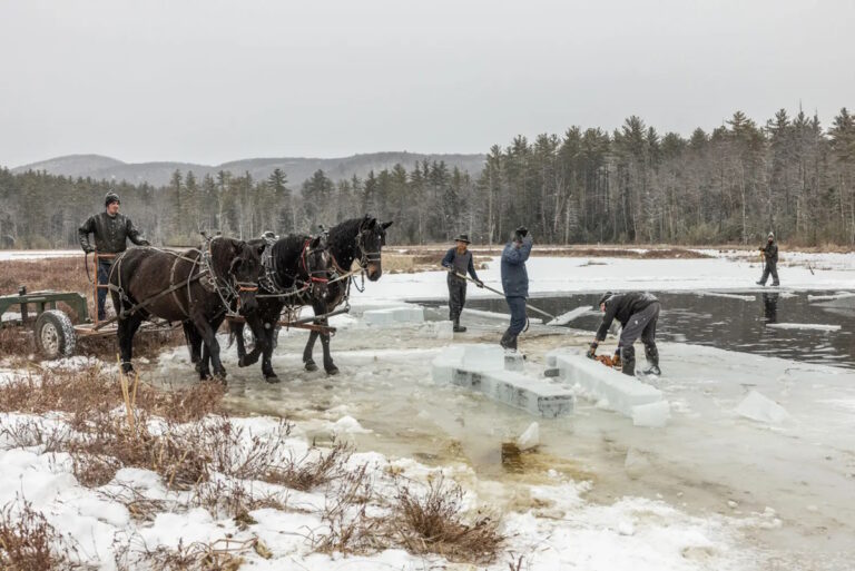Inside an Amish Ice Harvest: A Rare Look at a Timeless Tradition