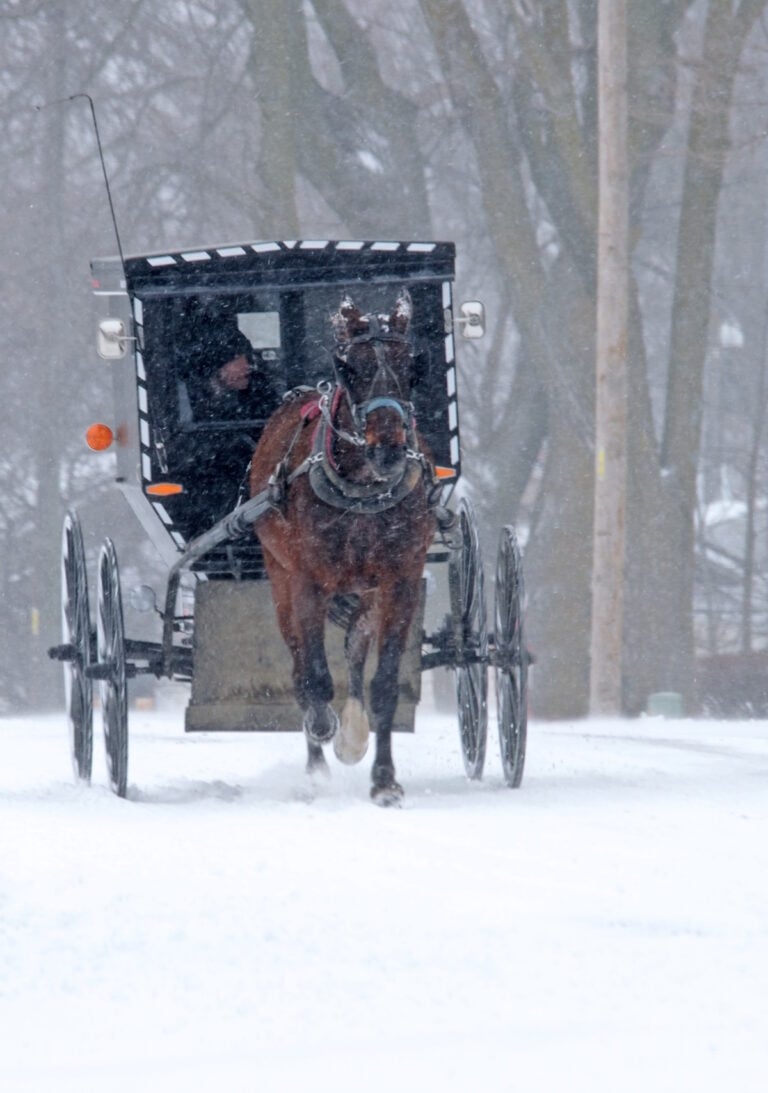 A Snowy Visit To Amish Country in Missouri (16 Photos)