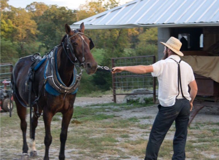 Amish Man Built Barn Without Permit; Township Says “Tear It Down”