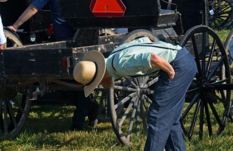 I Grew Up Riding in a Buggy — Here’s What All Those Amish Vehicles Are For