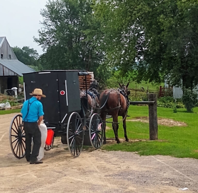 How I Became an Amish Taxi Driver: One Unexpected Visit That Changed Everything