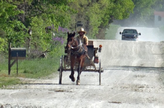 Man driving a horse-drawn cart along a dusty rural road with green trees in the background.
