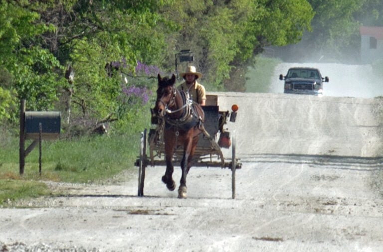 Amish Father: County Threatened To Take My Children Over Outhouse Permits