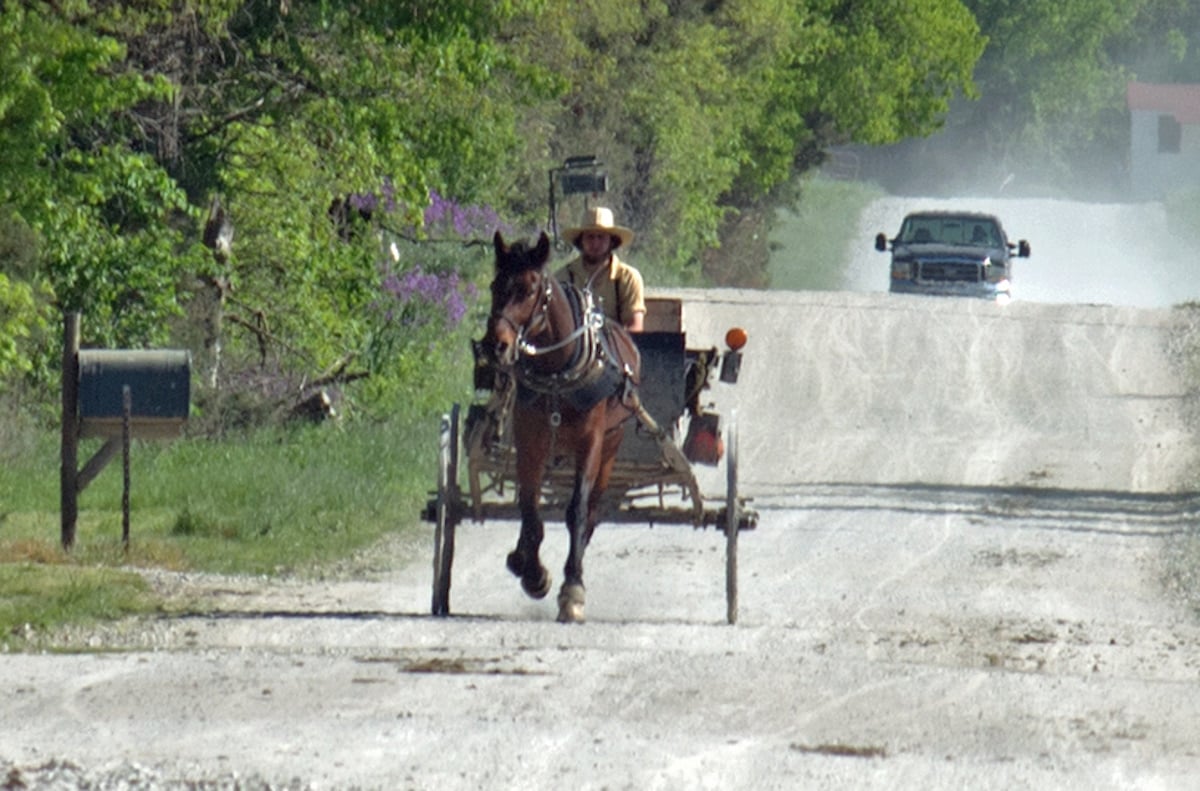 An Amish buggy shares a rural road with an oncoming pickup truck Amish man drives an open buggy down a gravel road as a pickup truck approaches from the opposite direction