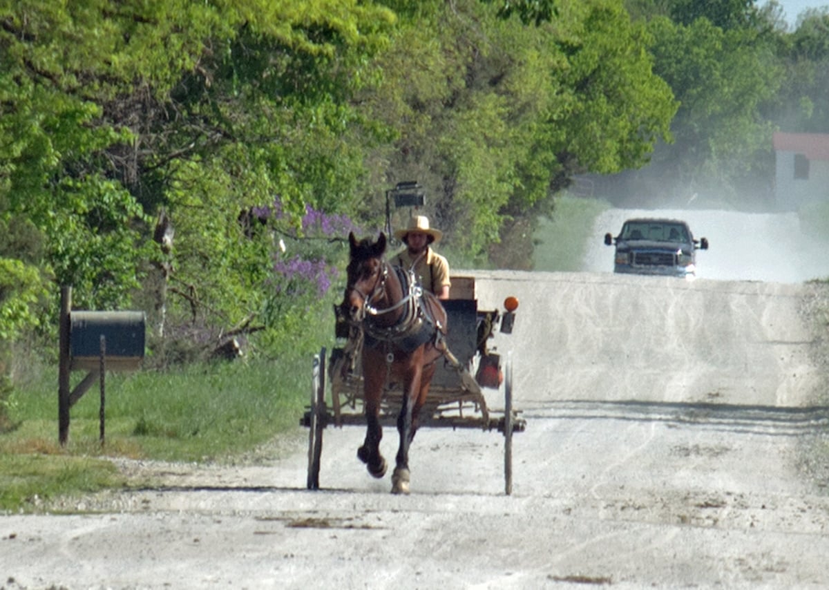 A pickup truck approaches from behind an open Amish buggy on a dusty rural road