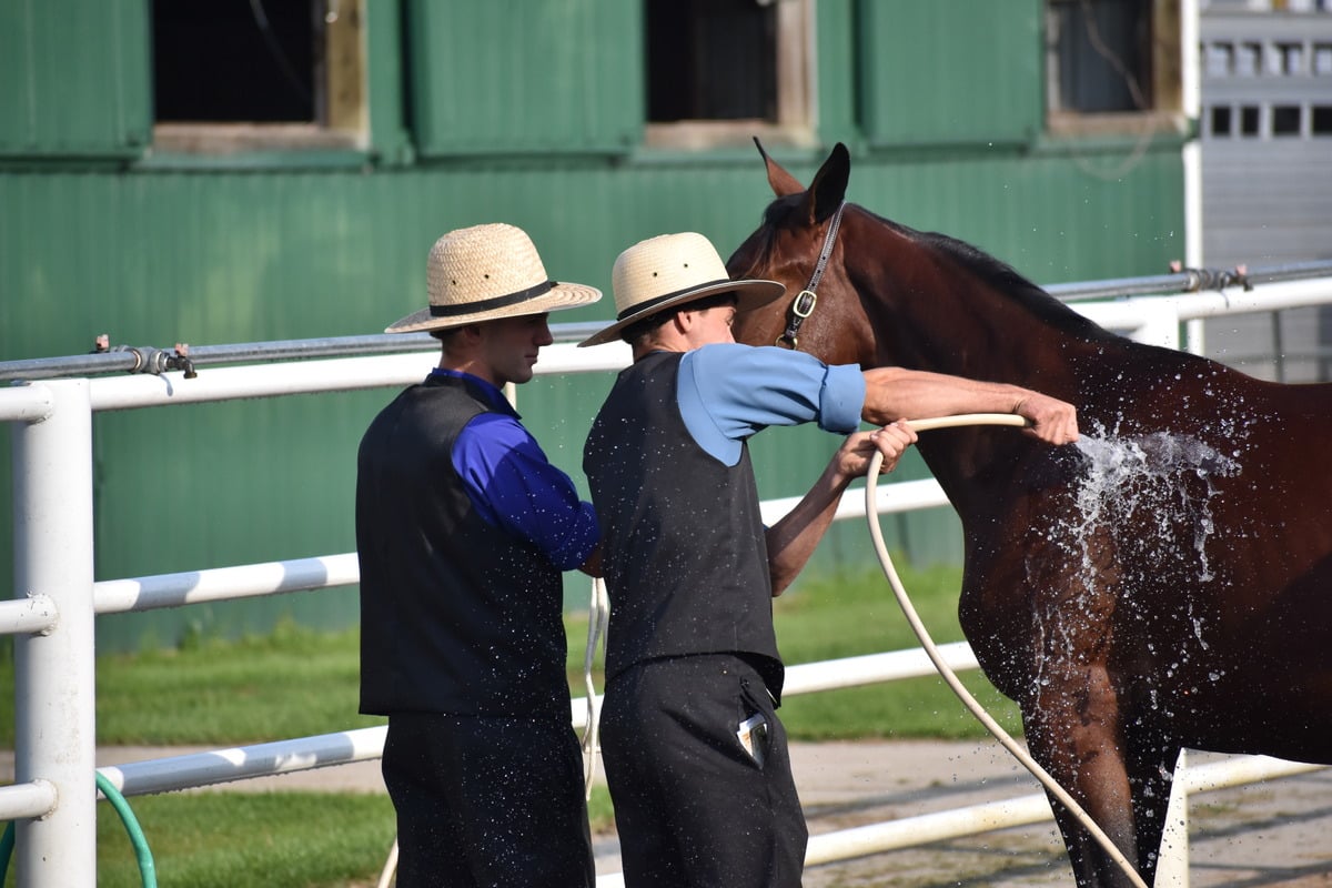 Two men in straw hats and vests wash a brown horse in a fenced outdoor area with a green barn behind them, water spraying from a hose on the horse's flank.