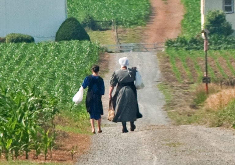 “Trust In God” Or Vaccinate? Lancaster Amish Parents Differ On Measles Response