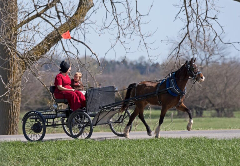 I Grew Up Riding in a Buggy — These Are the Amish Vehicles You Don’t See Every Day