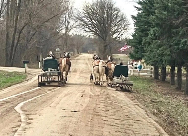 County Spent Hundreds of Thousands on Roads — Amish Traffic Is Damaging Them “Almost Immediately”