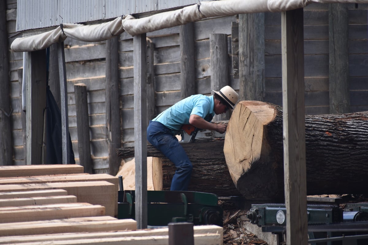 Amish man squaring up a log with a chainsaw at a sawmill in Cass City, Michigan