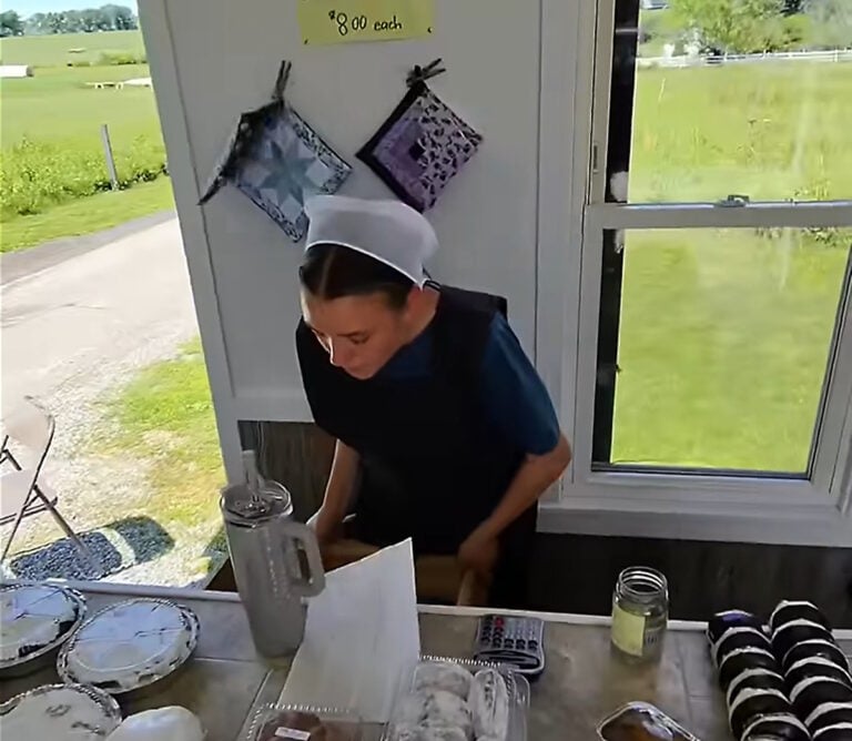 Online Influencers Are Recording Interactions With Unknowing Amish People Using Camera Glasses — And Racking Up Millions Of Views