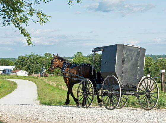 Amish Three-Year-Old Dies After Buggy Fall