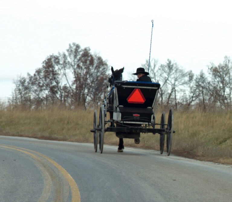 Driver Kills Amish Teen & Flees; Sheriff Currently Hunting For Suspect (Iowa)