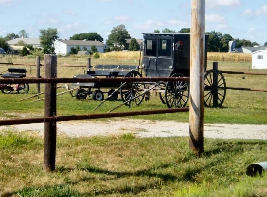 amish transportation
