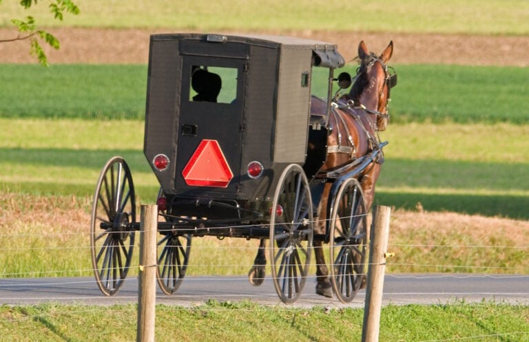 Ohio Has Over 86,000 Amish — These Are the State’s 10 Biggest Communities