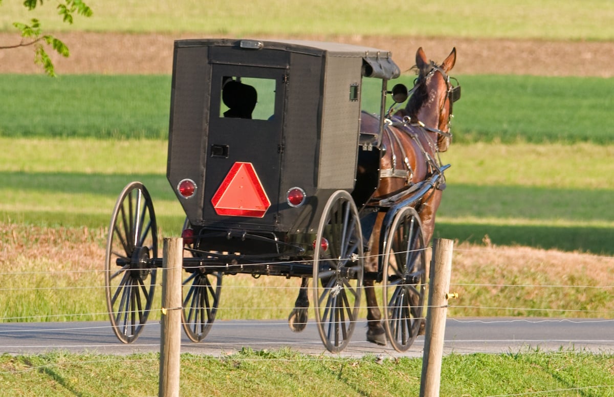 Amish horse and buggy on a country road in Ohio