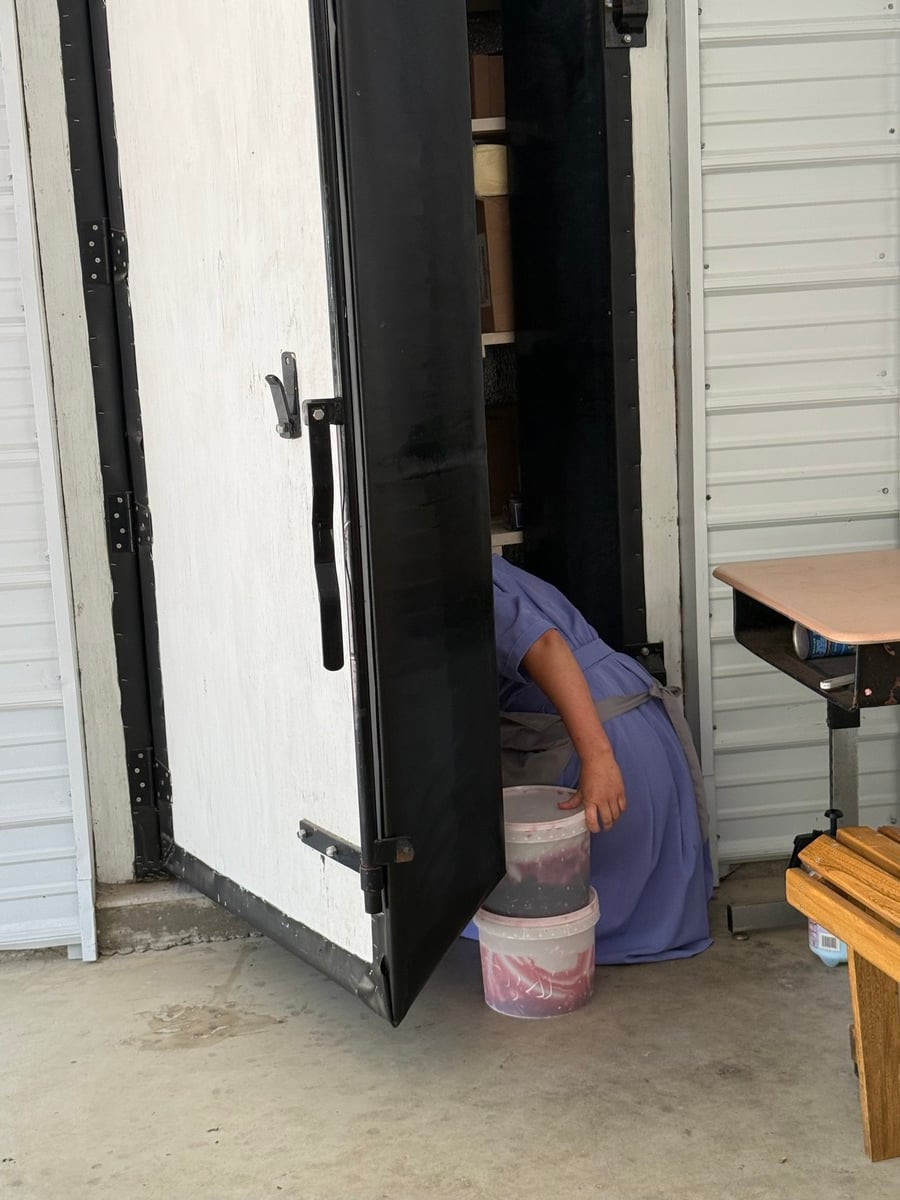 Amish woman reaching into a cooler with buckets at a Cass City, Michigan sale